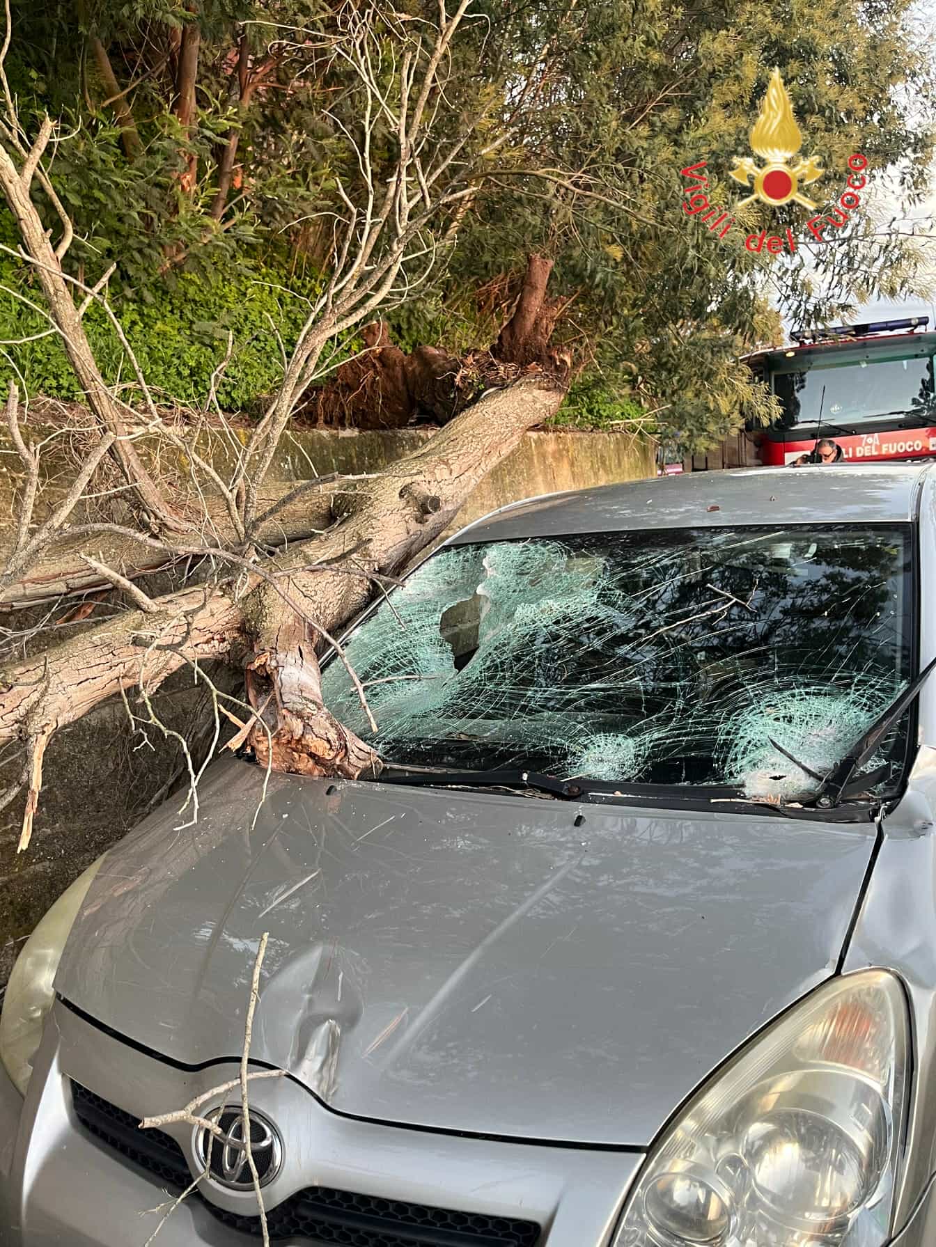 albero auto gizzeria