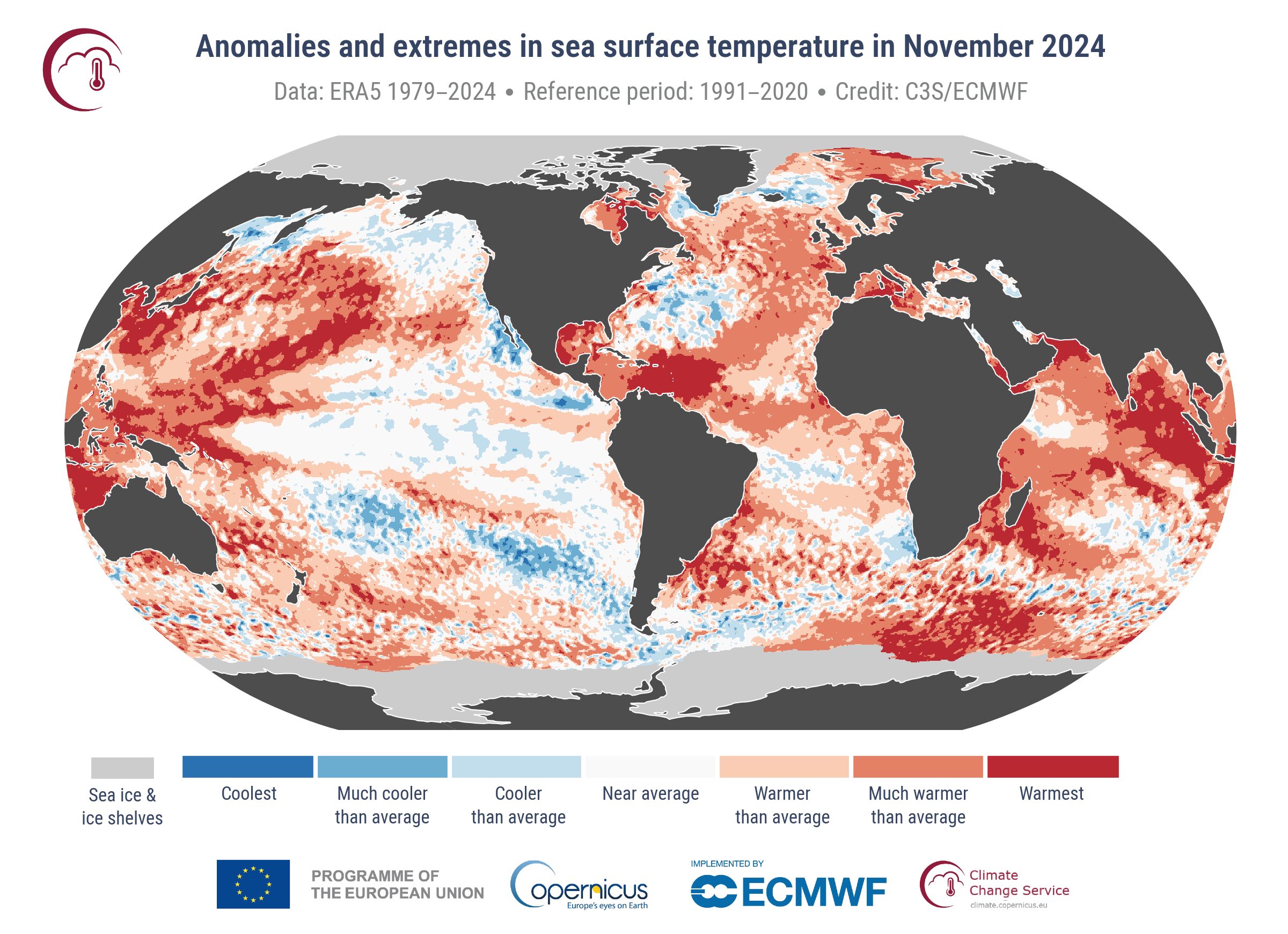 anomalie temperatura mare novembre 2024