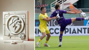 defibrillatore Bove