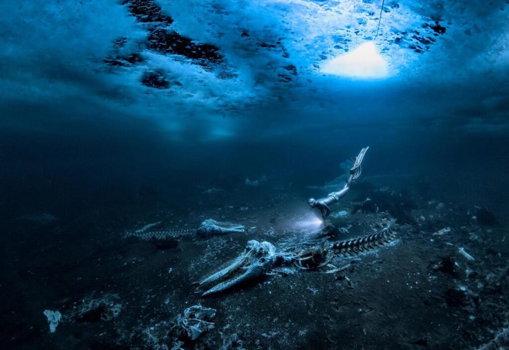foto scientifiche nature
