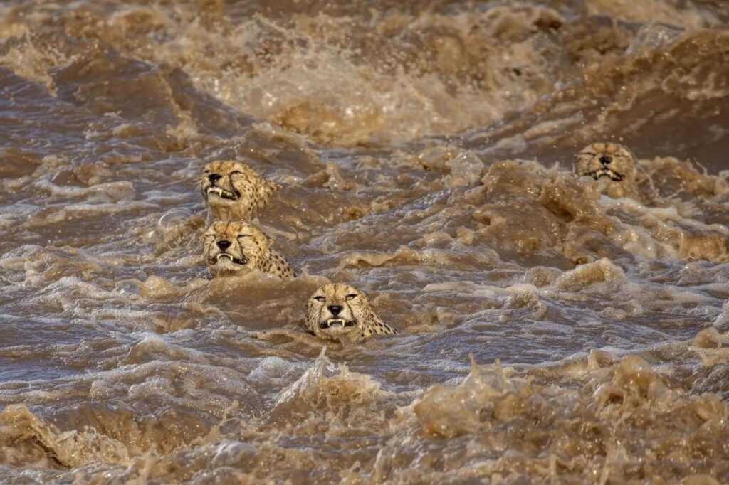 foto scientifiche nature
