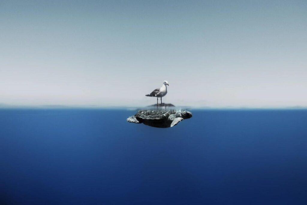 foto scientifiche nature