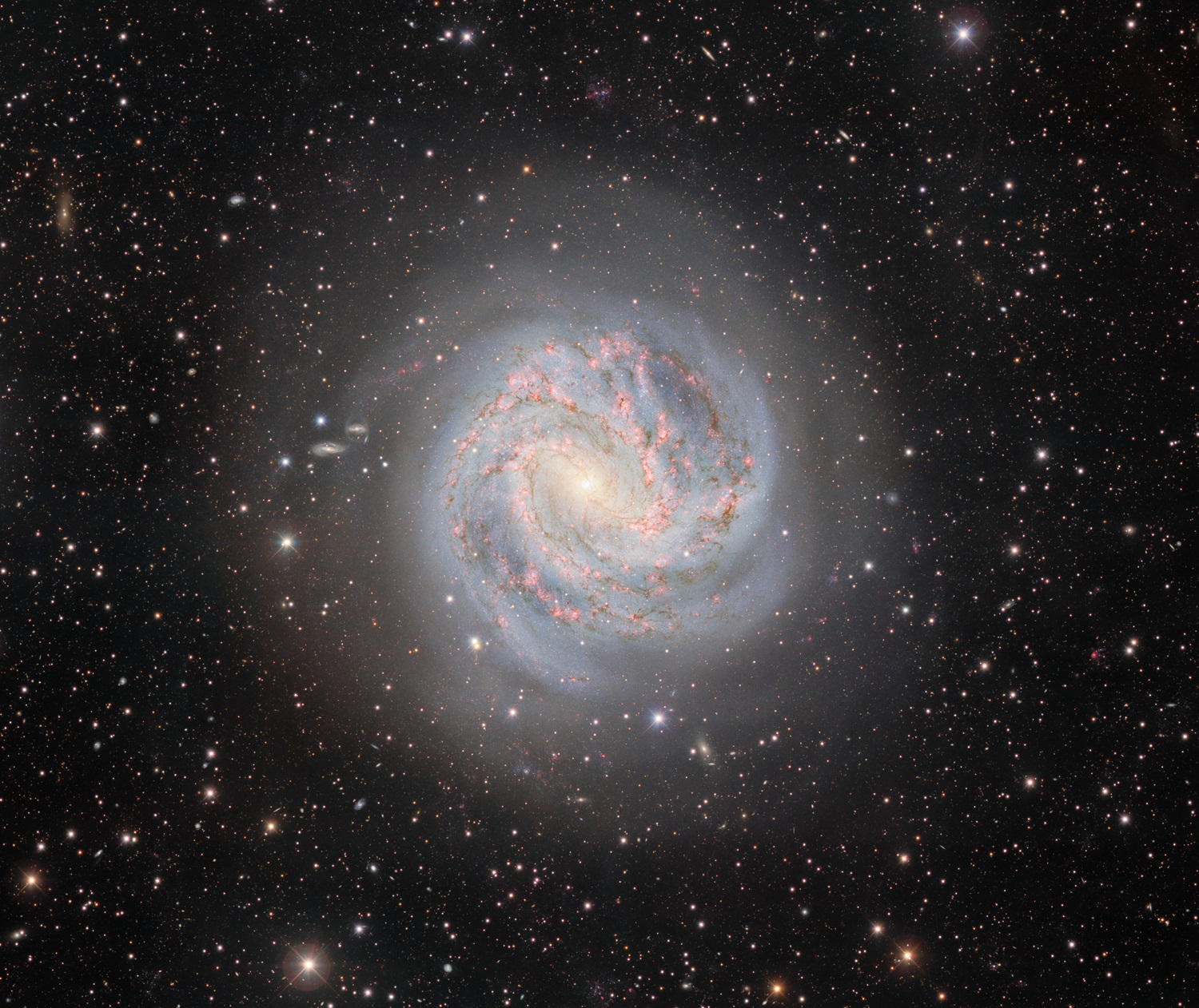 La Dark Energy Camera spia i dintorni della vorticosa Galassia Girandola del Sud