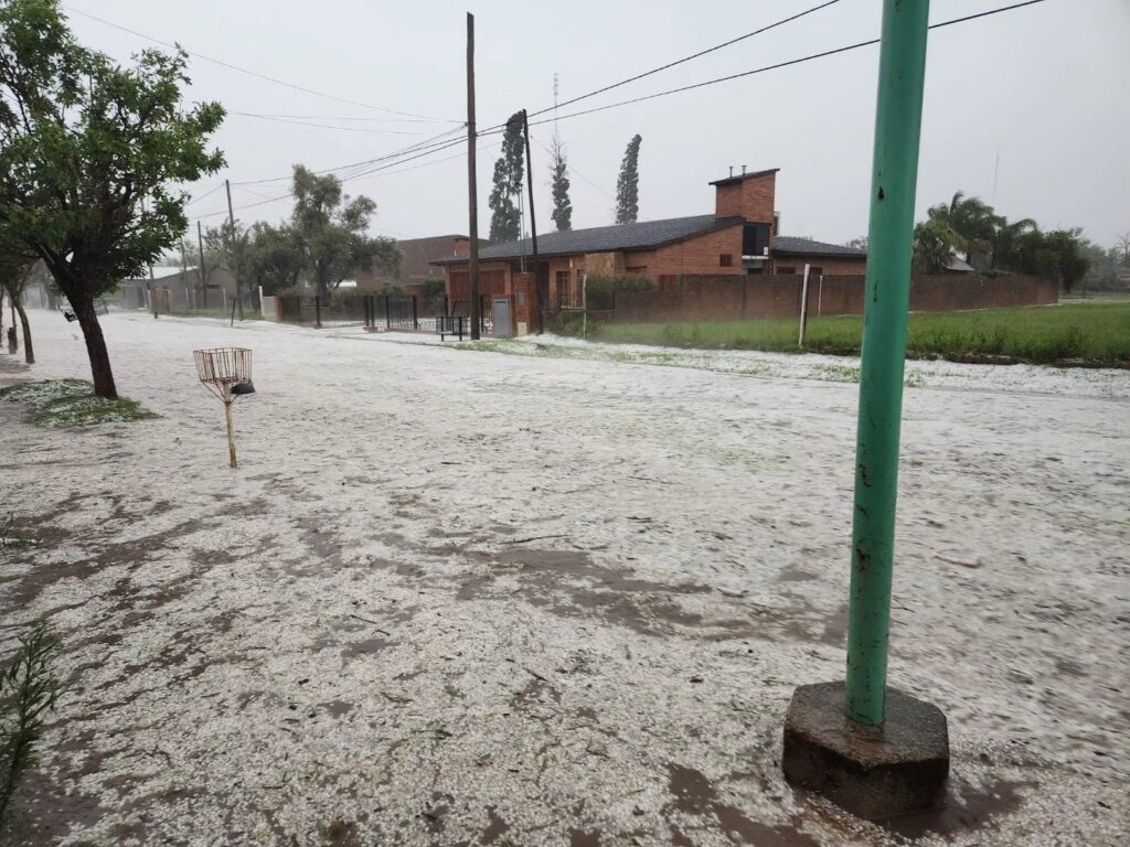 grandine argentina