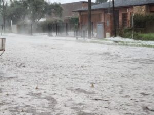grandine argentina