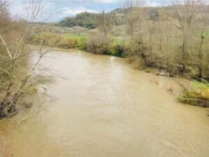maltempo calabria fiume crati