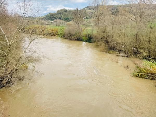 maltempo calabria fiume crati