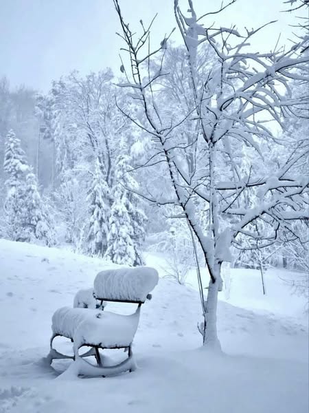 neve appennino modenese emilia romagna