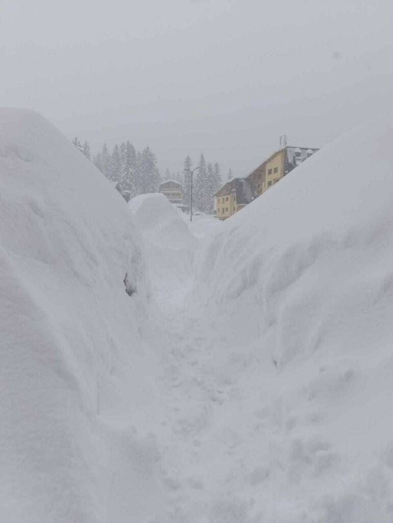 neve bosnia