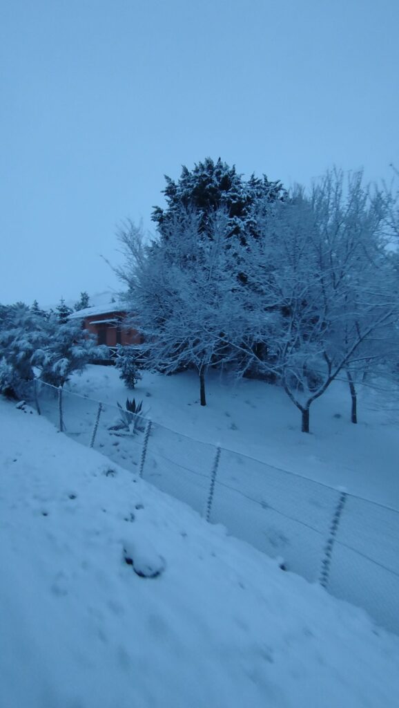 neve etna oggi catania randazzo
