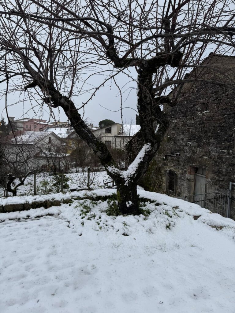 neve fortore campania