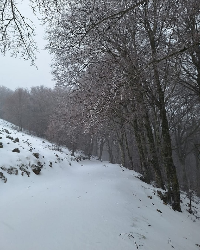neve madonie sicilia