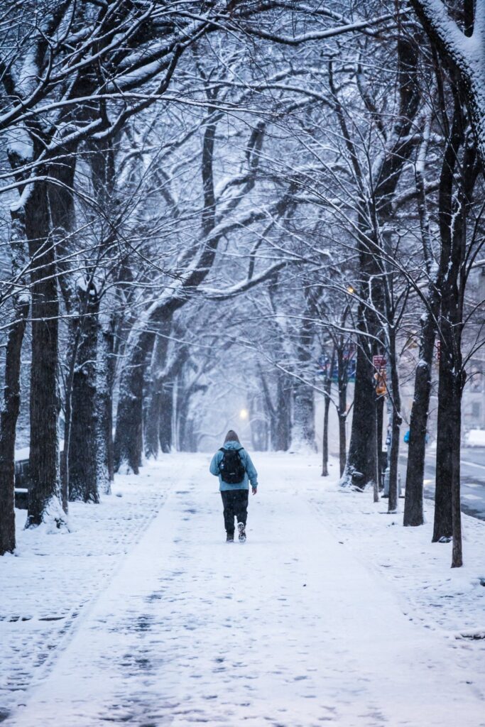 neve new york