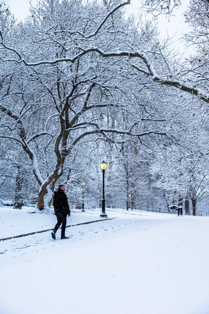 neve new york
