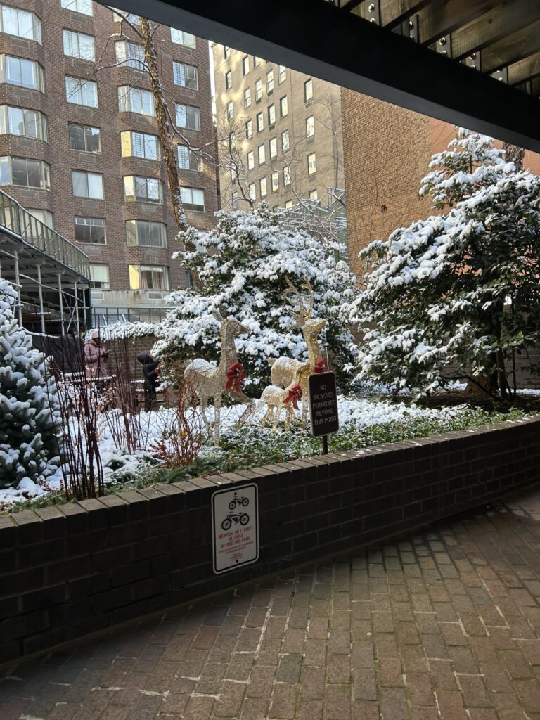 neve new york