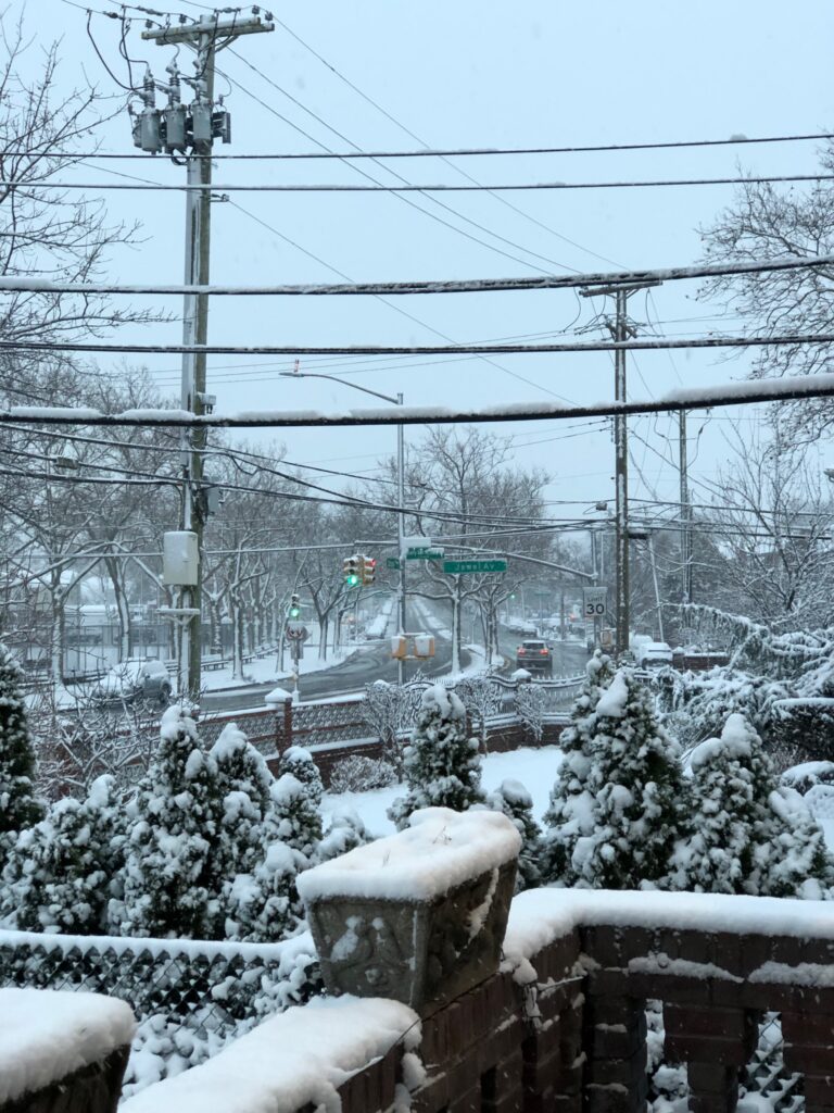 neve new york