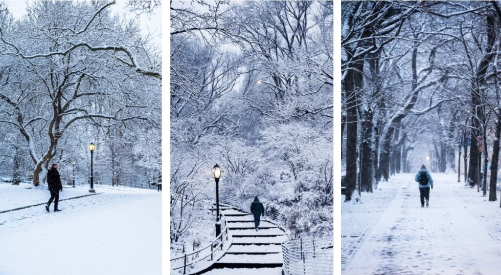neve new york