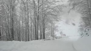 neve passo delle radici emilia romagna