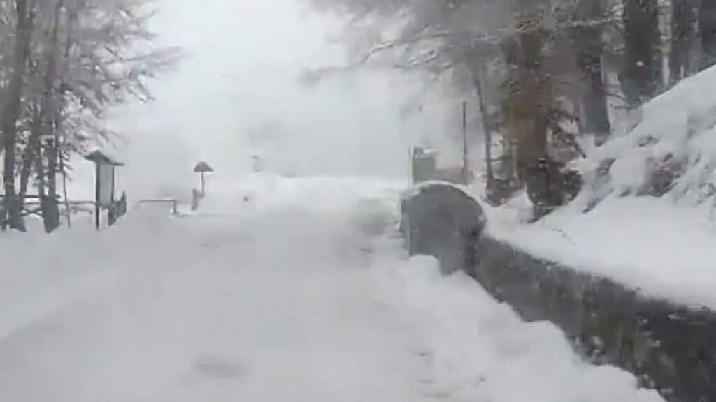 neve pollino