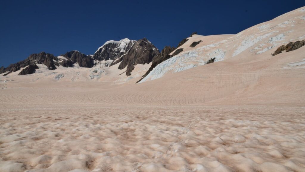 neve rossa nuova zelanda