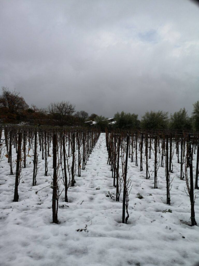 neve sicilia
