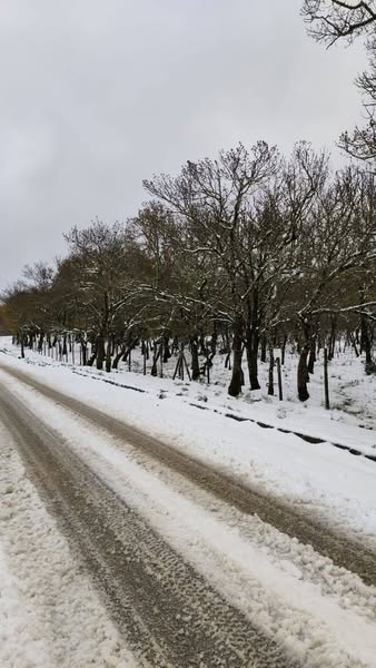 neve sicilia