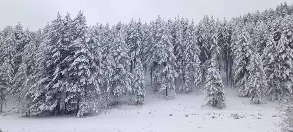 neve sila 23 dicembre 2024