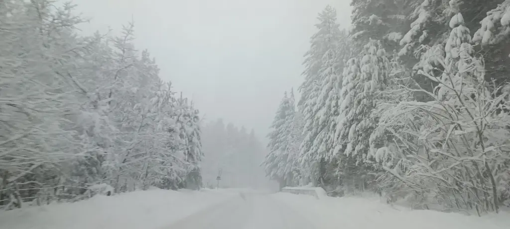 neve sila 23 dicembre 2024