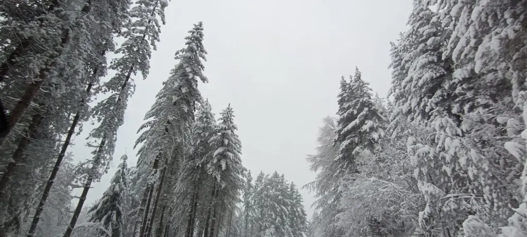 neve sila 23 dicembre 2024