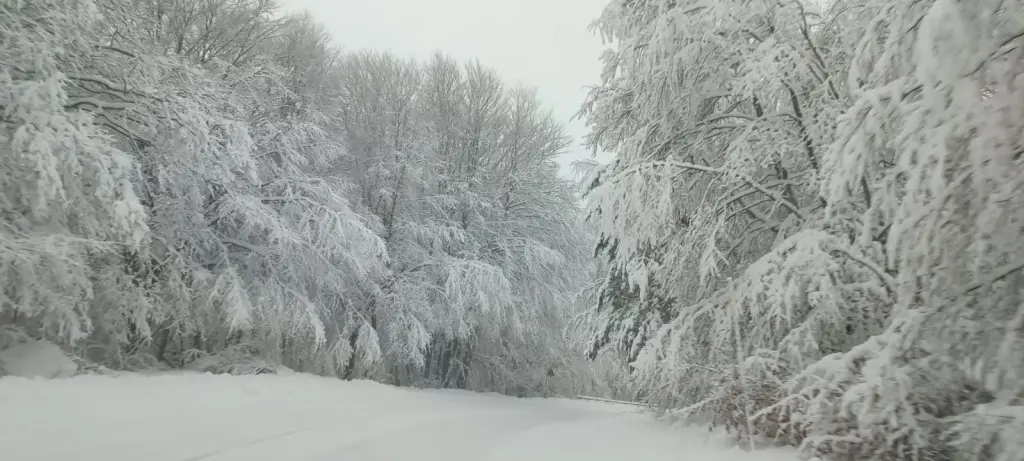 neve sila 23 dicembre 2024