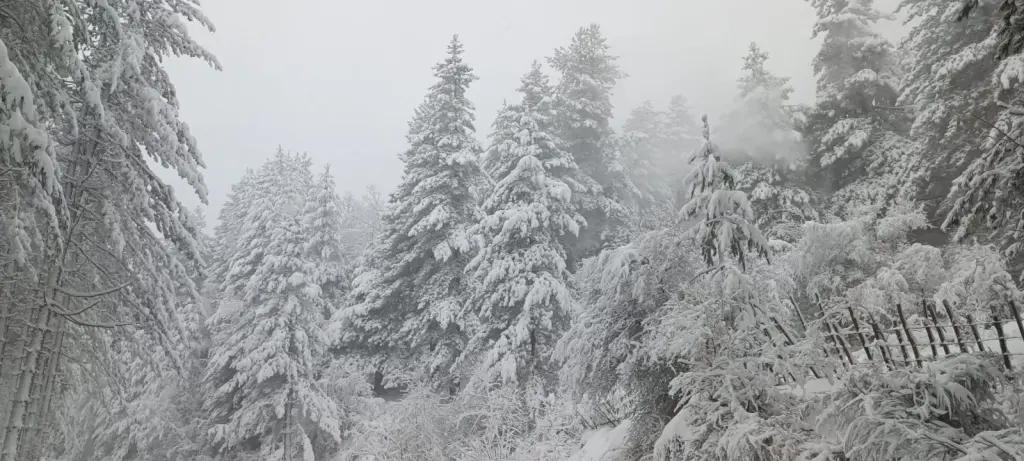 neve sila 23 dicembre 2024