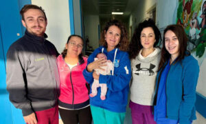 Pacemaker neonata