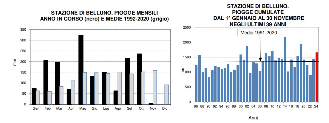 piogge belluno novembre 2024