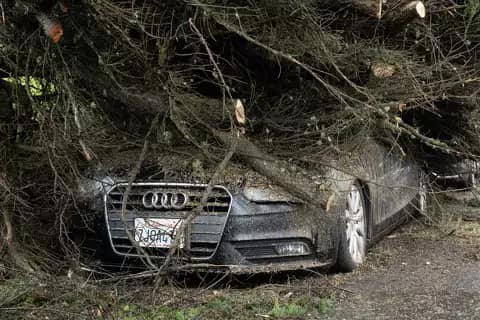 tornado scotts valley california usa maltempo