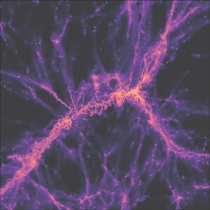 Gemello del filamento cosmico osservato nel MUDF come visto da una simulazione al super computer che descrive la distribuzione del gas su grandi scale nell’Universo. Visibile in viola è il gas che scorre all’interno della ragnatela cosmica, alimentando la formazione di galassie nei punti dove più filamenti convergono. Credit Davide Tornotti/Università di Milano-Bicocca