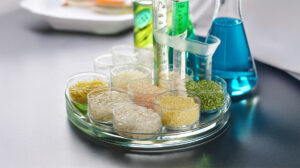 Alimentazione ENEA testa tecnologia per la tracciabilità del riso italiano