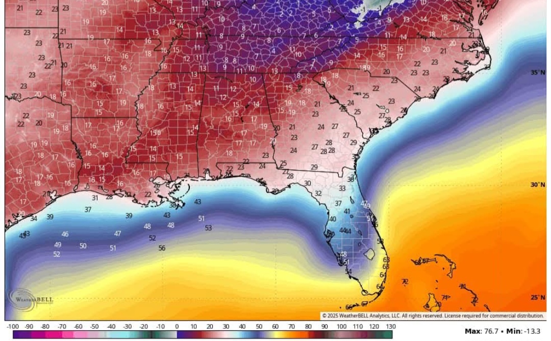 Allerta neve Florida
