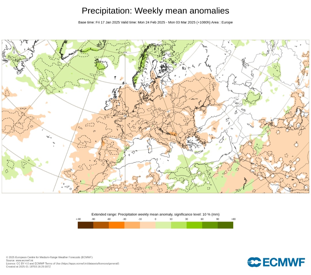 Anomalie di precipitazione febbraio 2025