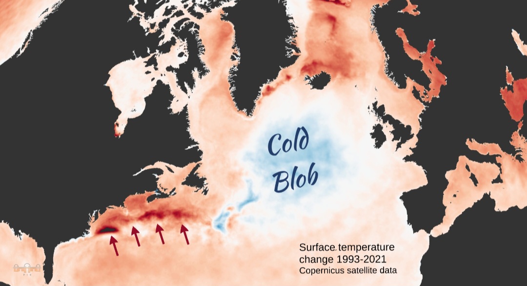 Cold blob