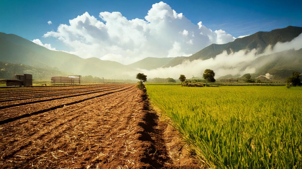 ECO-READY sicurezza alimentare