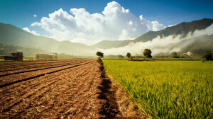 ECO-READY sicurezza alimentare