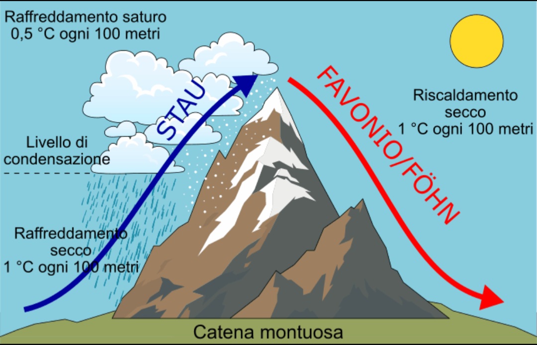Favonio-Foehn