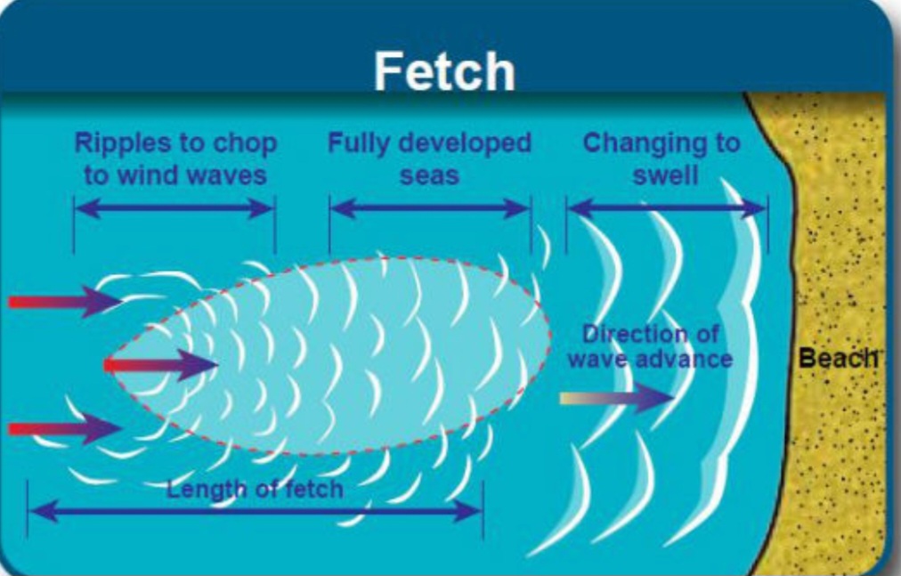 Fetch