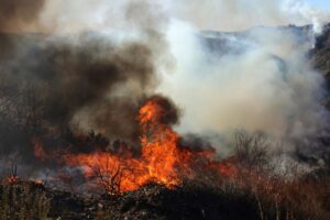 Incendi Los Angeles