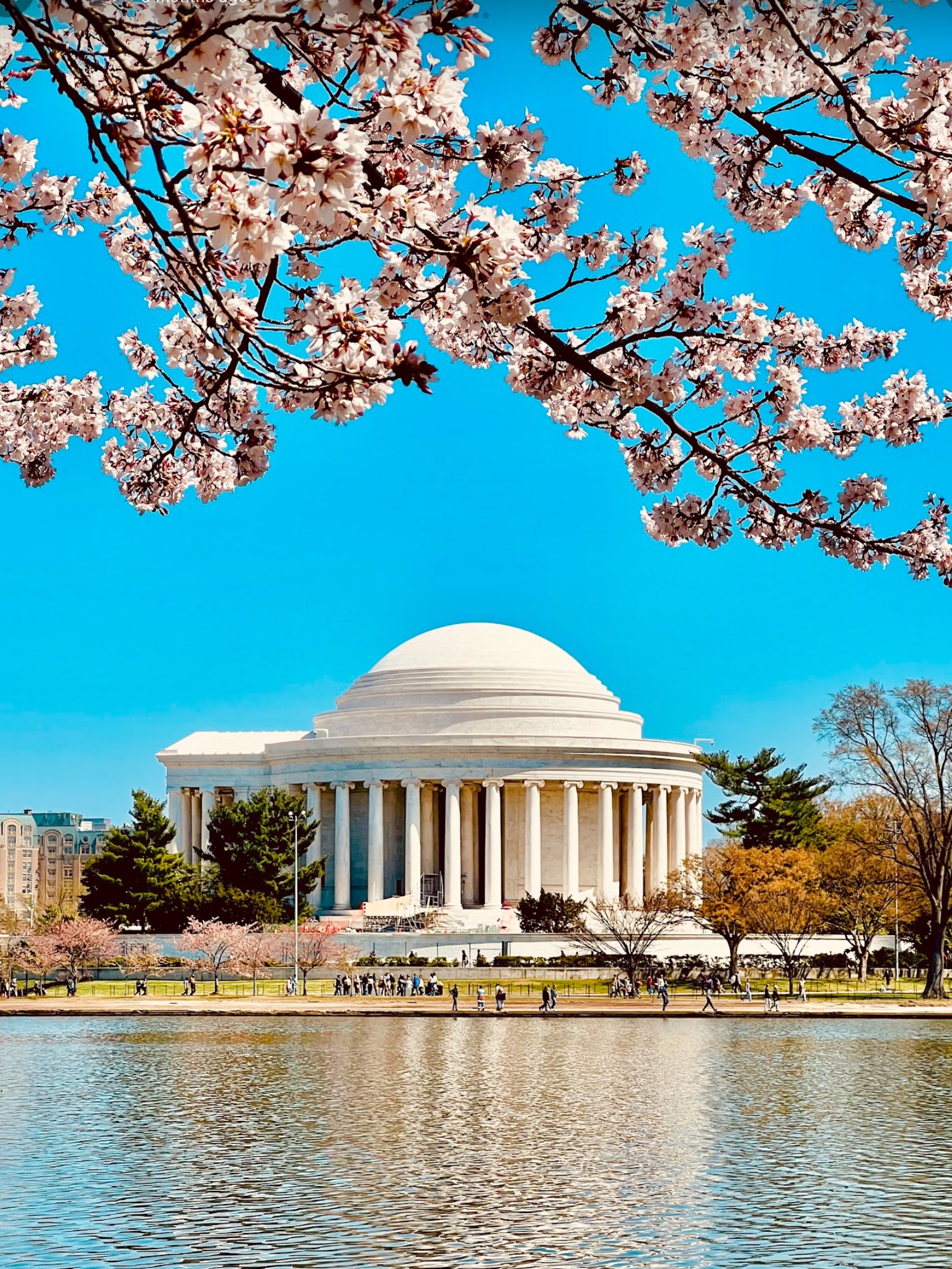 Jefferson Memorial washington