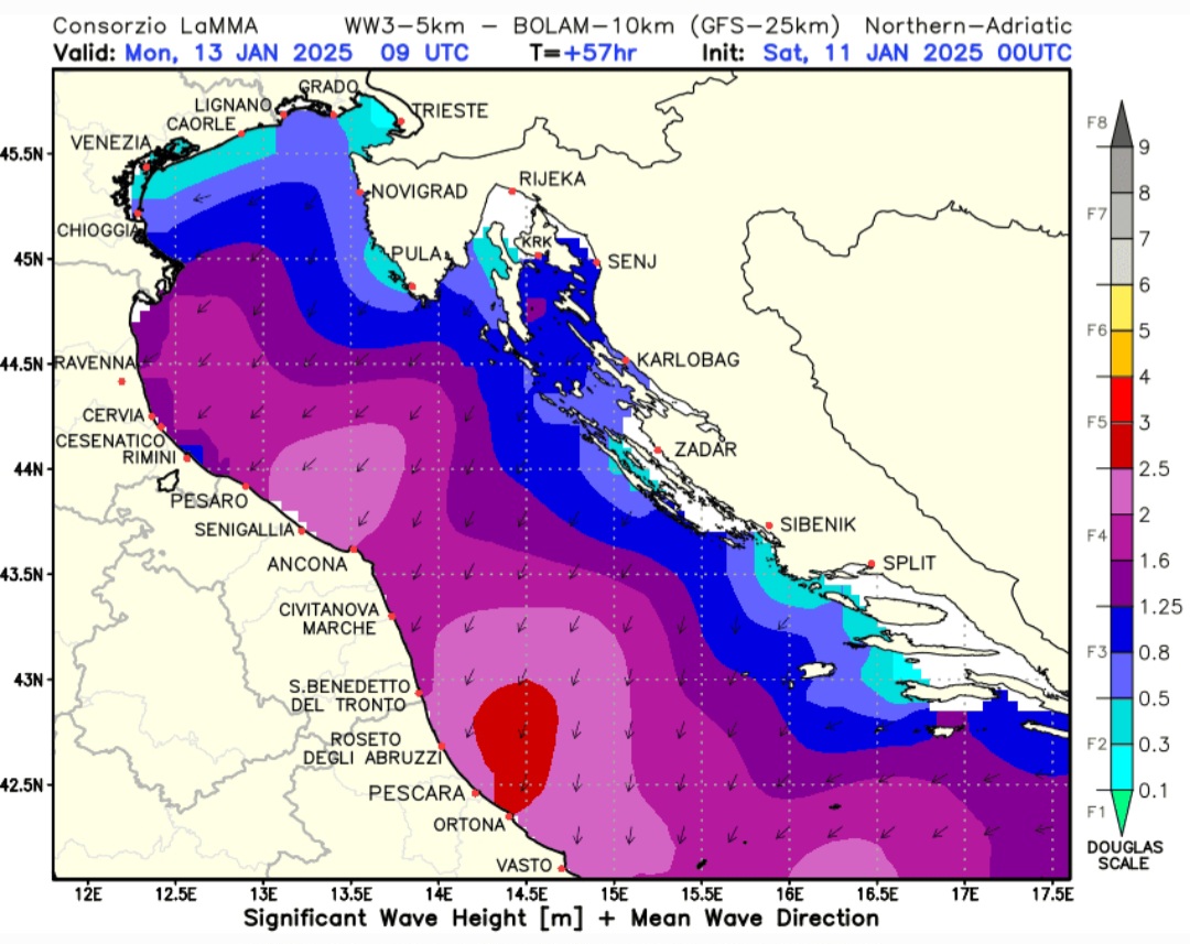 Mare agitato Emilia-Romagna