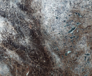 Minnesota, North South Dakota esa sentinel