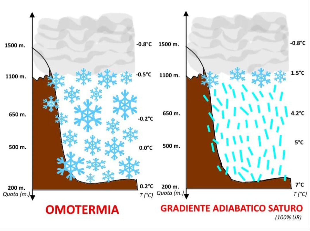 Omotermia