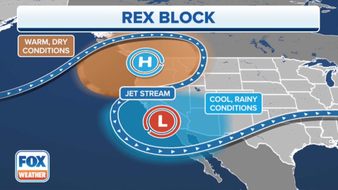 Rex Block