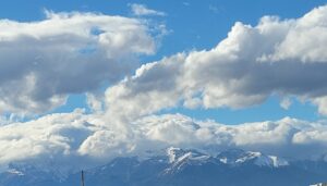 Stau